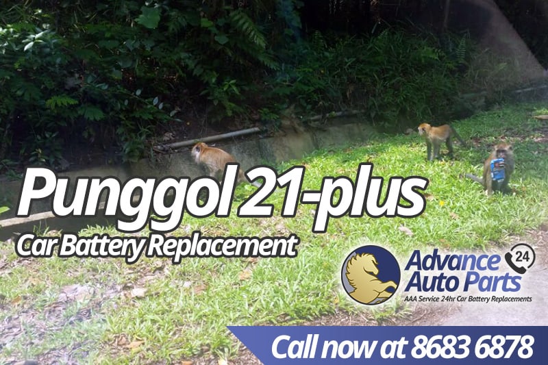 Car Battery Replacement Punggol (21+) | 24Hr Onsite | AAP 1 Car Battery Replacement Punggol Plus
